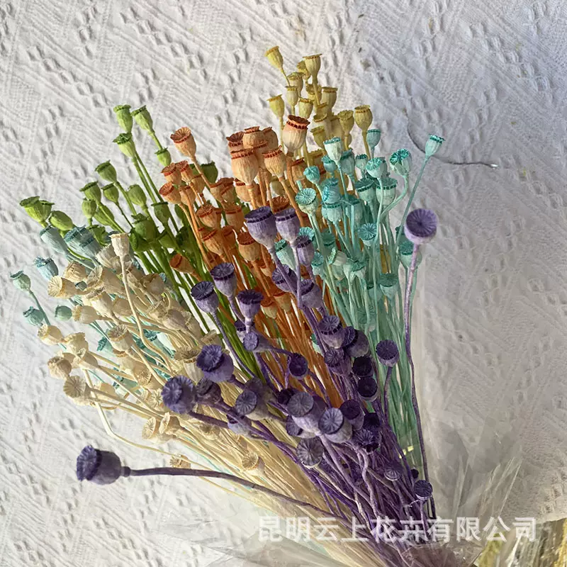 永生花diy材料包富贵豆相思豆干花亚麻玻璃罩干花diy