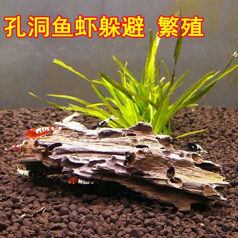 О ornamental аквариумные креветки набор, смешанные цвета и разновидности, набор нано-креветок, поедают водоросли