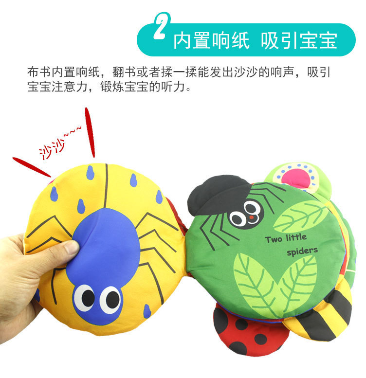 英文蝴蝶详情 (3)