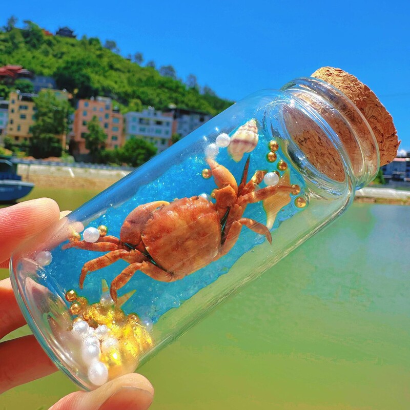 海洋文化創造漂流ボトルガラスボトル大きなカニの装飾品卸売手作り旅行のお土産海の貝殻|undefined