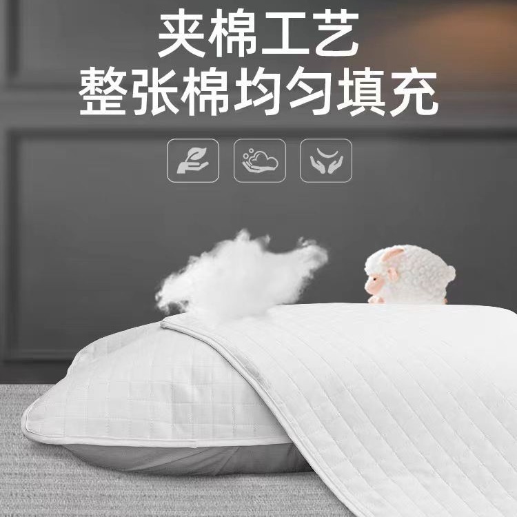 枕芯保護隔離層、綿入り枕カバー、頭皮の油分を防ぎ、汚れ、ダニ、汗を防ぐ家庭用枕芯保護枕カバー|undefined