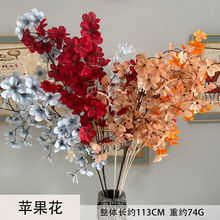 �O�������滨�����Y�b��쾰ֲ������O����ɭϵ�����c�Y�O����