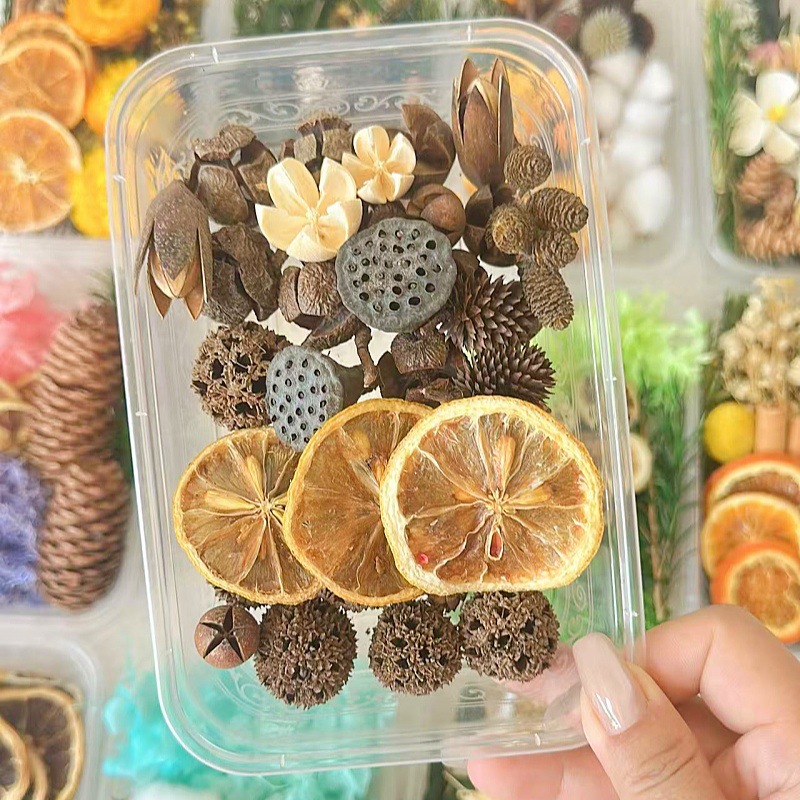 Fruitas secas flores secas DIY material paquete de plantas naturales secas al aire navidad pine canela hecha a mano in decoración adornos inmortales