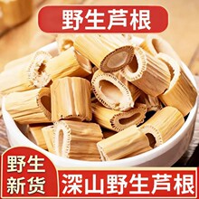 筛选净货芦根切段干爽完整线下药膳铺批量采购草本原料