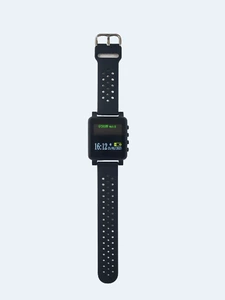 [寻呼机 呼叫系统 手表款 POCSAG Paging Pager watch VHF UHF]