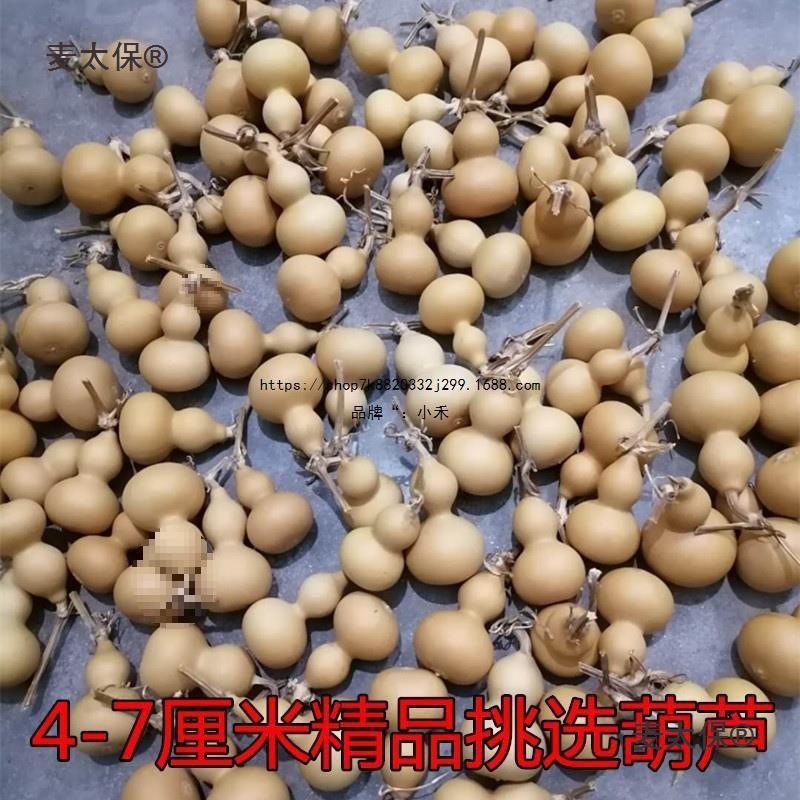 然葫芦一物一图堆文玩手捻草里金小八宝蚂蚁鸡蛋天津嘴双麦麦太保