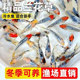 ˮī�m����ˮ�~���B�ͻˮ�����^�p�~��ɫ�\�a�~����