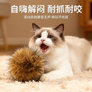 ��ë��؈�������o���␞؈���S������ë����ץ��ҧ������ë����