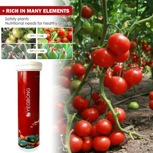 Yegbong plant growth nutrition sustained release tablets fruit and vegetable plant potted root growth universal nutrition tablets