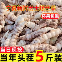 ���a��ֱ�l���������r�ݽz�ˬF�ڌ����˵حh��¶��ʯ�Q����ţ����