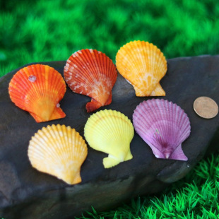 ��Ȼؐ��䁵��ֹ�Сؐ�����ݸ��N�~�׵�̨���N�b�Ʒ�ҾӔ[��