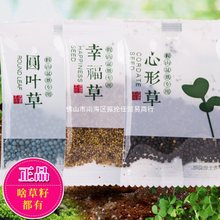 草籽种子吸水石上水石假山盆景造景装饰小叶恋石大叶恋石混装批发