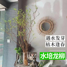 ѩr֧r֦ˮֲﻨֲ҃ȻܾGֲl