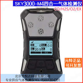 SKY3000-M4泵吸便携式气体检测报警仪CO/H2S/O2/EX有毒有害气体仪