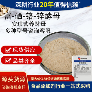 ����������ĸ���\��ĸ�I�B���������t��ĸ�a�\�a���a�t�I�B��ĸ