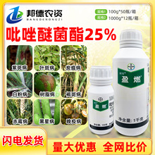 �ݶ�ӯȼ 25%�����Ѿ���������С������׷��~��˪ù̿���P���rș