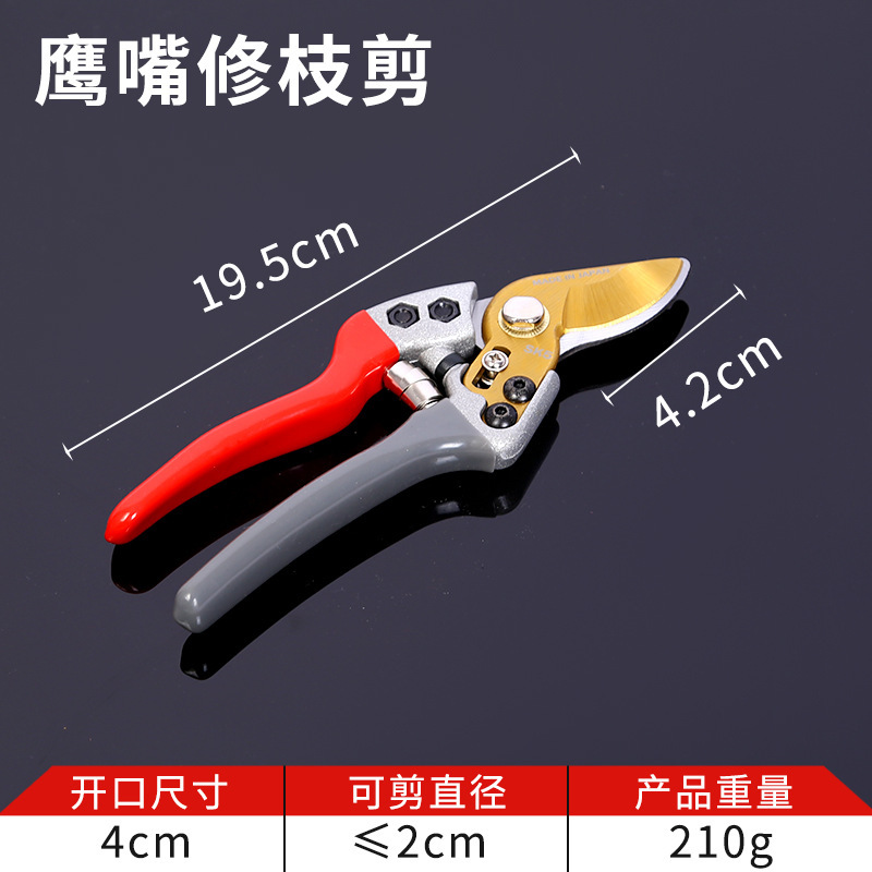 鹰嘴修枝剪园艺花枝剪树枝剪园艺果树剪枝专用果枝剪加厚花艺剪刀|undefined