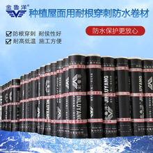 Nֲ ~̥W͸sbsˮ 4mmճB