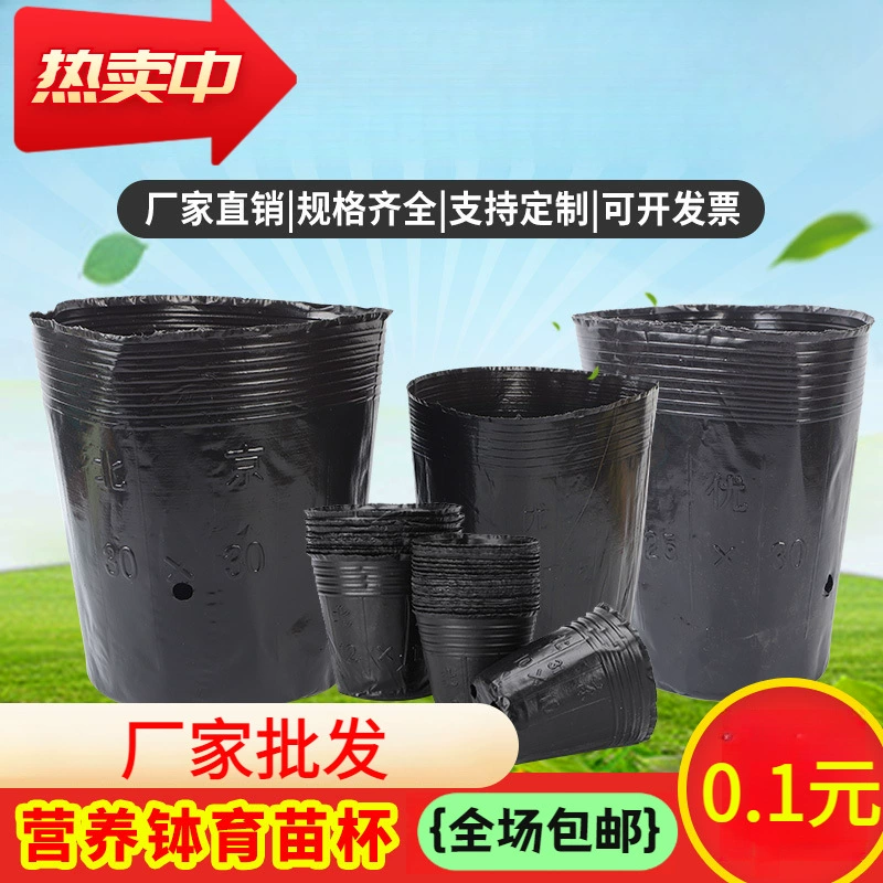 Питательная чаша для рассады Горшок для рассады Чашка для питания