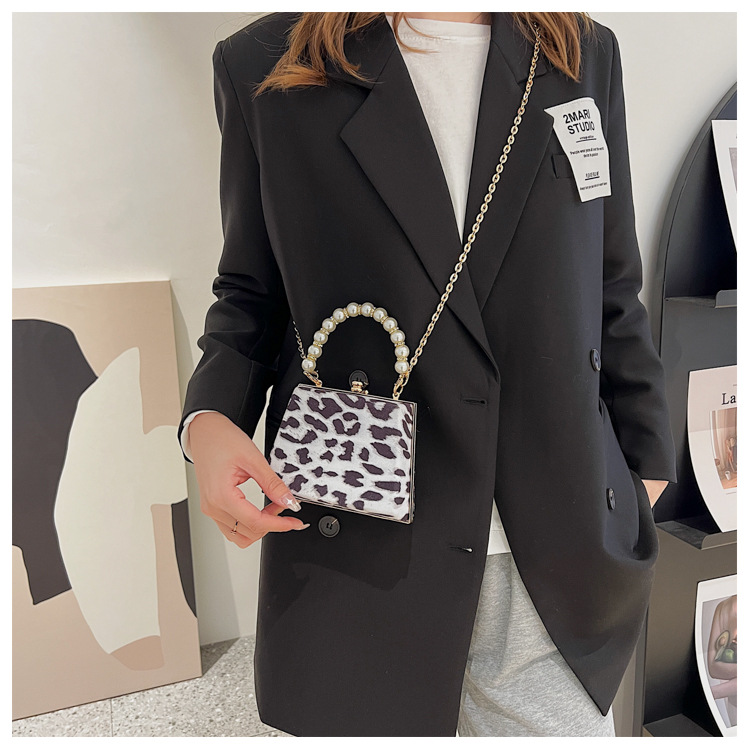 Elegant Bag Women's Bag 2021 Autumn And Winter New Elegant And Generous Fashion Chain Style Cows Pattern Small Square Bag display picture 1