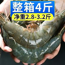 �ش��r�r�����r����r�����lһ�������r�����r���r���]���l