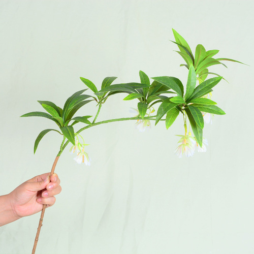 Simulated water stone fig flowers and leaves Nordic green plants small fresh feel plant decoration ornaments wedding photography landscaping fake flowers