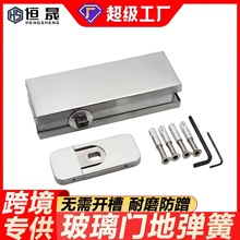 免挖坑玻璃门地弹簧免开槽隐藏式无框玻璃门地弹璜门配件地弹簧