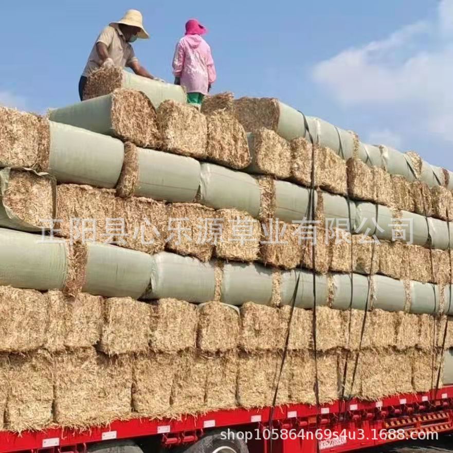 微信图片_20220210182557