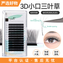 跨境爆款小口窄口三叶草3D假睫毛0.07嫁接L型柔软浓密不散根编织