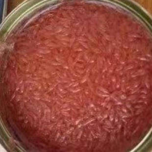 �t���ֹ��^850g*24�� �S��ֱ�N �ƶ����b ���b �����決����