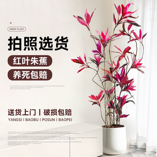 �t�~�콶�͏d���;Gֲ�W�tֲ���҃��k������������ȩ����ļ�����