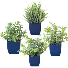 �羳���u����ֲ���ֲ��Gֲ�҃����b����������ȼ���С����