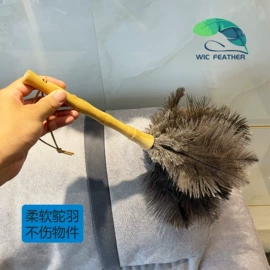 羽毛、羽绒;除尘掸;花边