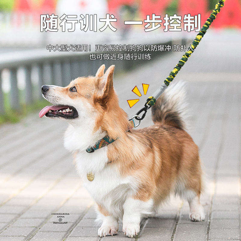 Cuerda de tracción para mascotas transfronteriza Cuerda elástica para perros a prueba de explosiones