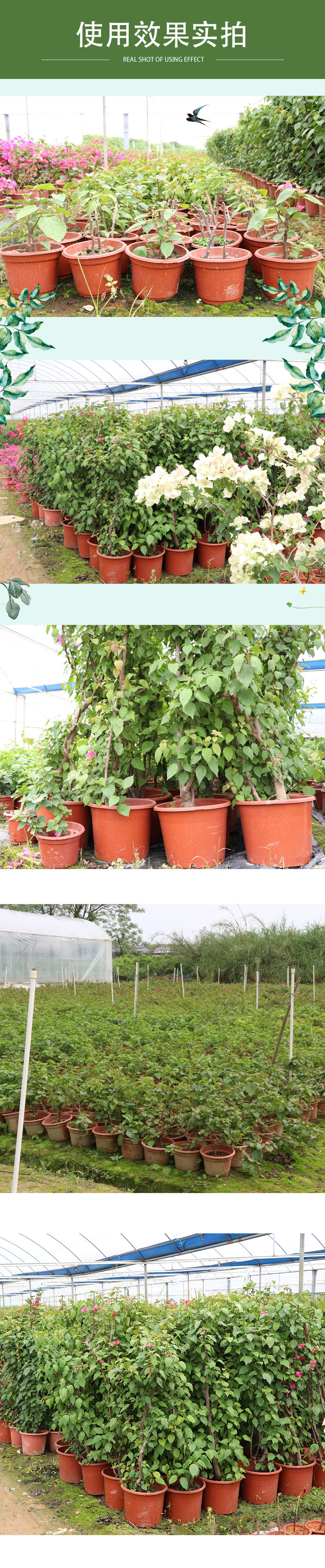 4cd84b91a8cf11ae83488f0555b7d2