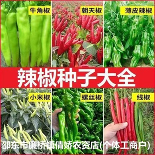 �����N�Ӵ�ȫ�����ݽz�����콷ţ�ǽ��𽷴���ʒ���r�������N��