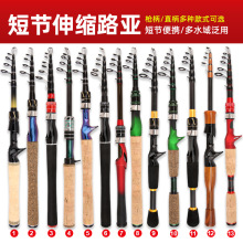 伸缩路亚竿 现货批发便捷短节可伸缩钓渔具鱼竿跨境供迷你小海竿