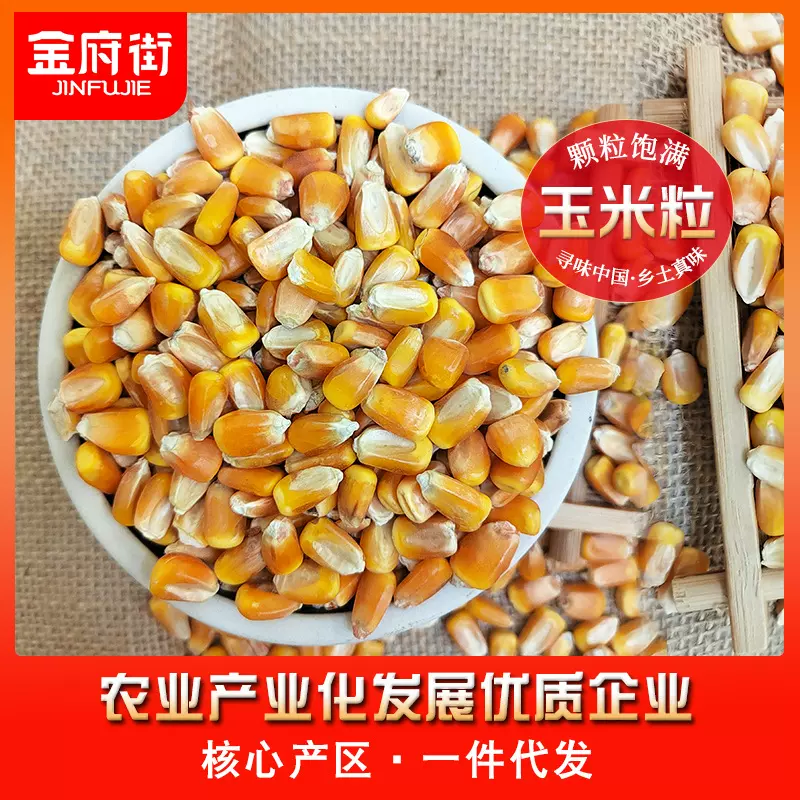 当季新货玉米粒大颗粒中原沃土优质粮食喂鸡鸭鸽子饲料鱼饵粮酒批