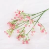 37013 Full Sky (Pink)