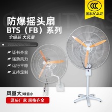 FB-750大功率排风扇工业强力散热落地式壁挂式BTS-500 防爆摇头扇