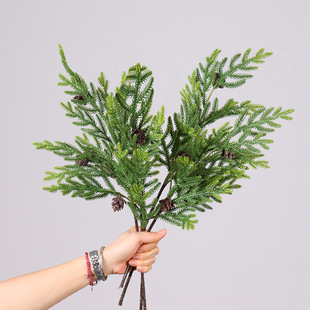 ����Gֲ�쾰��֦����ɘ�֦��ֲ���c�ҾӲ廨�b��~�Ĕ[��