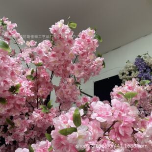 �ѻ������֧�ٻ��G���b��쾰��Y����·���̈�չ�d���^��ˇ�廨