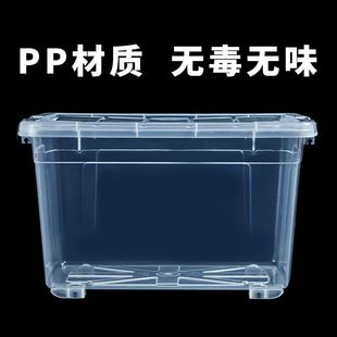 ��͸������܇�d��~��������~Ͱ������������Ӻ��Bֳ���~��