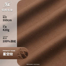 星空纹毛呢面料 420g针织呢料双面仿羊毛绒面料 毛呢大衣服装面料