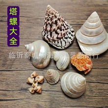 ��Ȼ����ؐ�����l�~���쾰΢���^�b��Ĕz�����ղ����� ������