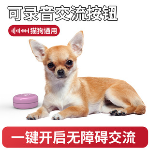 ���ｻ�����o�����в��������I�l�����Ȯ�␞������Z������
