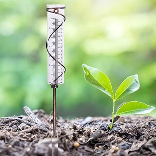 ���R�d��Ʒ̫����������Fˇ���⻨�@�Б��b���ƺ��������ײ