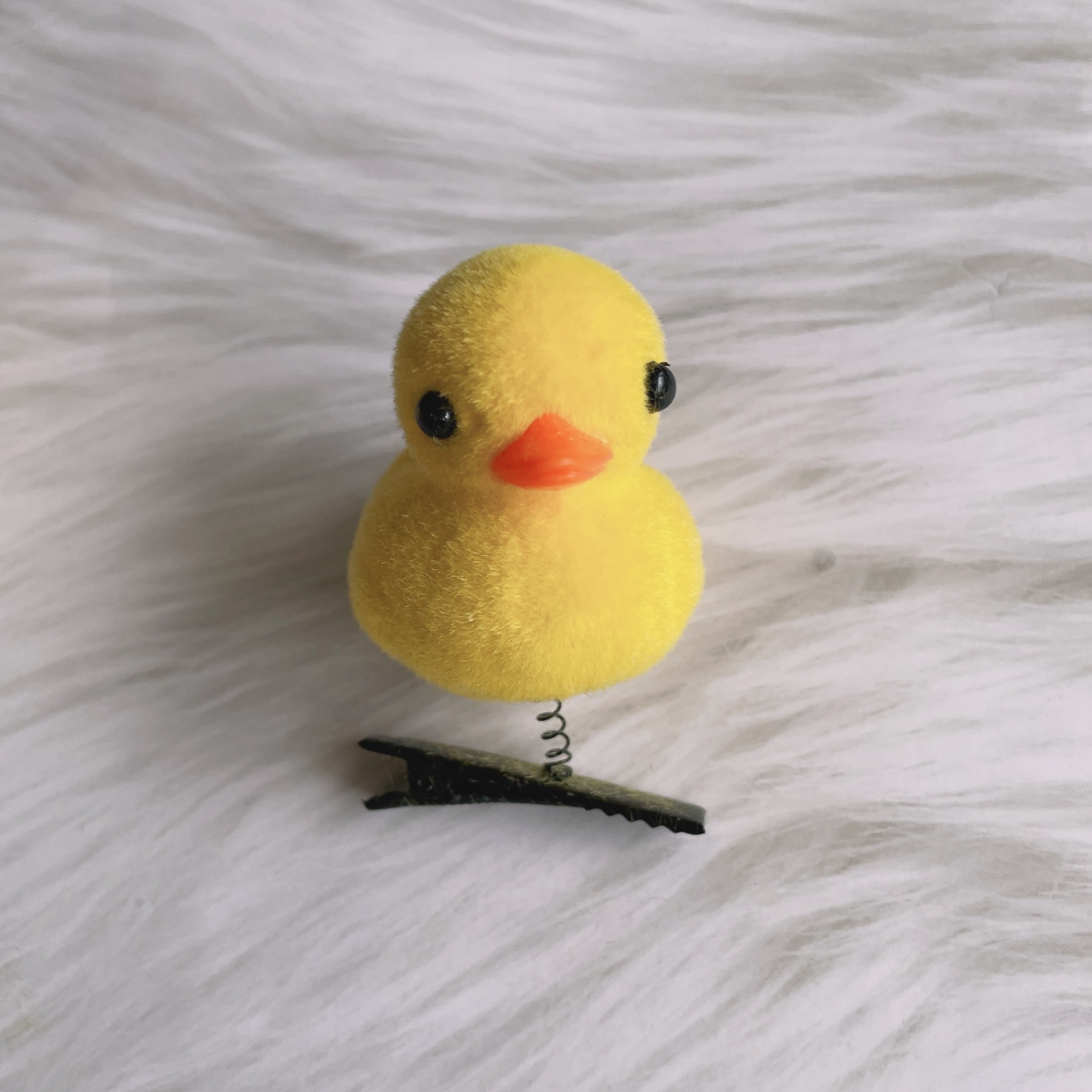 IMG_2345(20210826-171634)