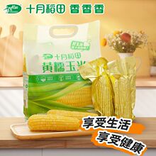 ʮ�µ����SŴˮ�����׵�֬�|�������������Ŵ�����XĤ����i�r�b