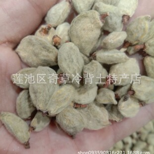 ���Ҹ�,�җn,��ū,���l��ș�ı��Ҹ�,��؛��ș���Ҹ�